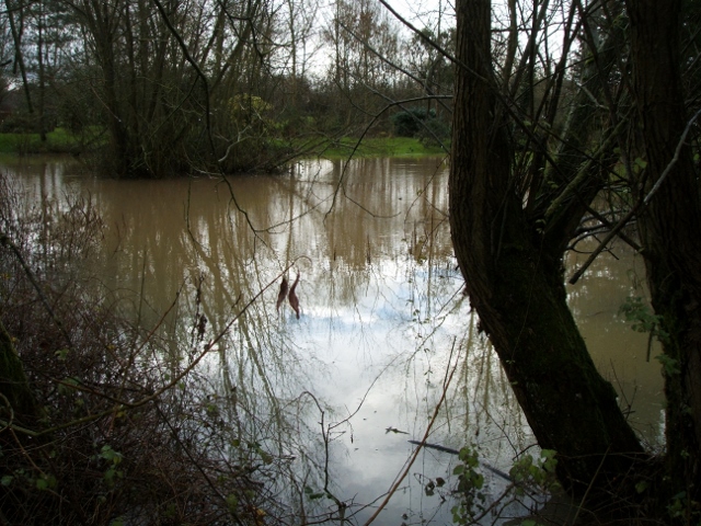 Overflowing pond